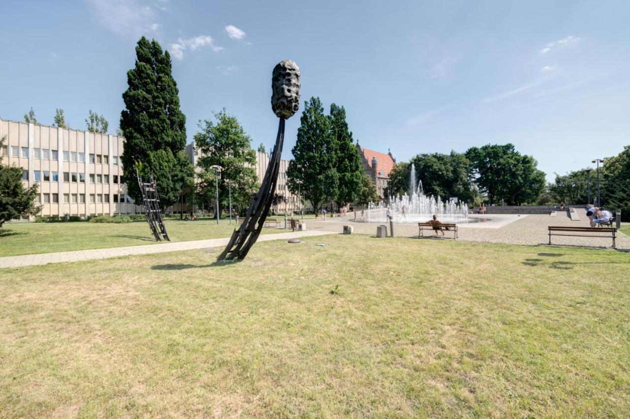 Angels Torun